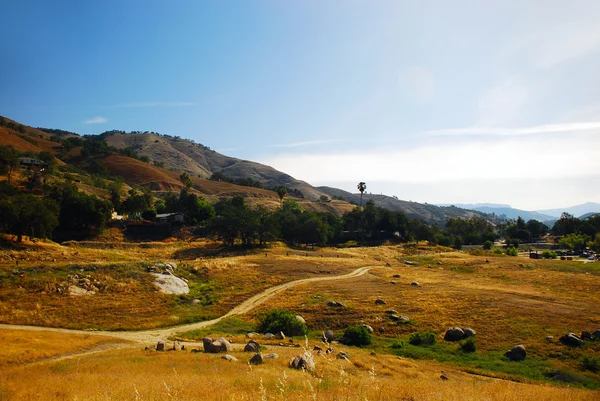 Ağaç yol yucca valley california çöl — Stok fotoğraf