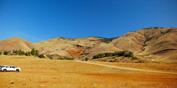 Träd road yucca valley desert Kalifornien — Stockfoto