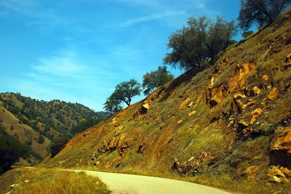 Tree Road Yucca Valley desierto California —  Fotos de Stock