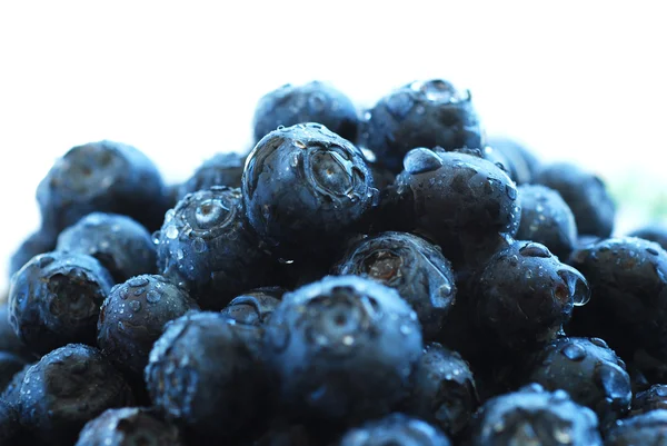 Reife Blaubeeren in einer Schüssel. — Stockfoto