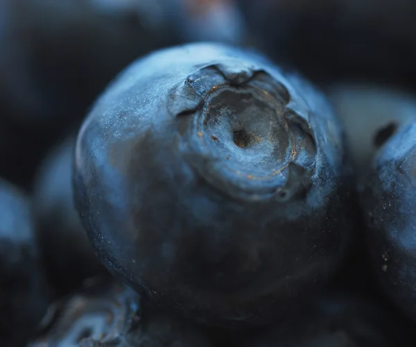 Ripe blueberries in a bowl. — Stock Photo, Image