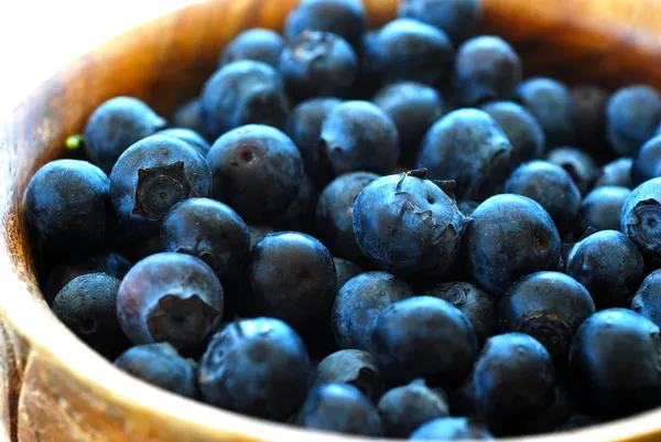 Mogna blåbär i en skål. — Stockfoto