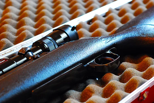 Weapon, shotgun, hunting. — Stock Photo, Image
