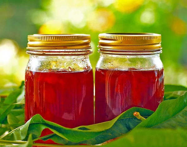 Nettarina, marmellata di pesche . — Foto Stock