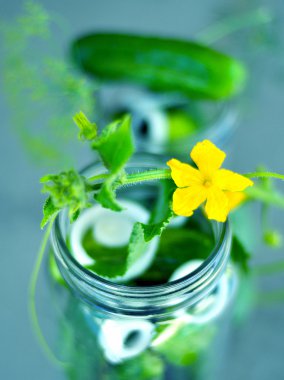 Konserve salatalık işlemi.