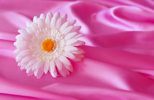 Flower, silk, texture, background. — Stock Photo, Image