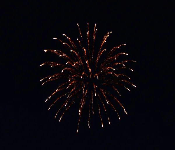 Salute, fireworks. — Stock Photo, Image