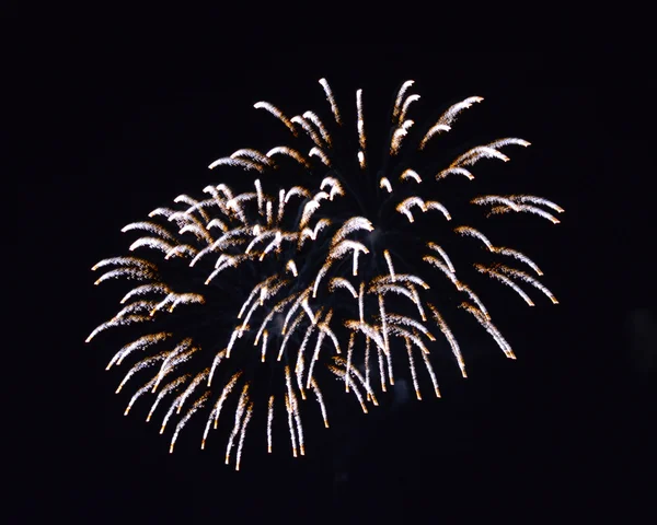 Saudação, fogos de artifício . — Fotografia de Stock