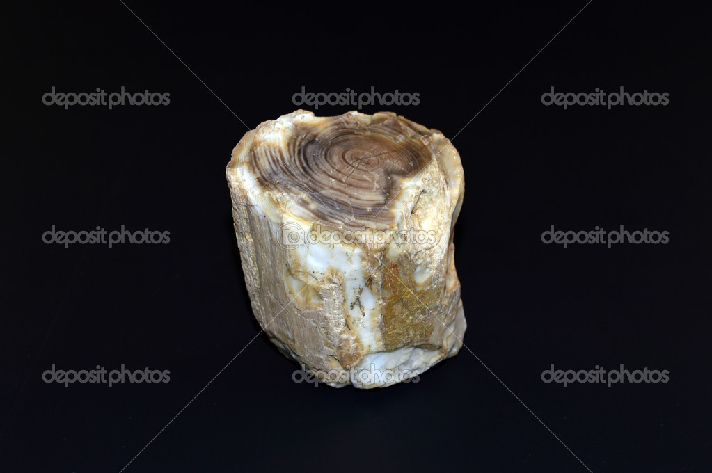 coconat