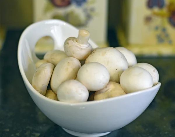 Funghi di bottone . — Foto Stock