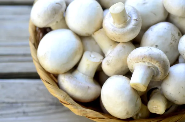 Button mushrooms. — Stock Photo, Image