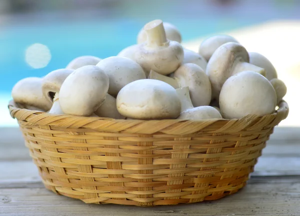 Button mushrooms. — Stock Photo, Image