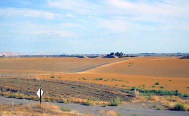 ağaç yol valley california çöl.