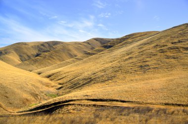 ağaç yol valley california çöl.