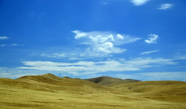 Tree Road Valley Desierto California . — Foto de Stock