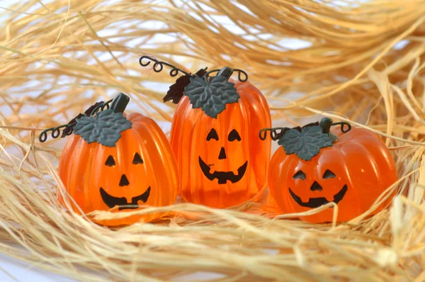 Zucca di Halloween. — Foto Stock