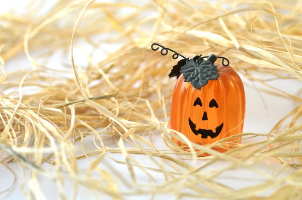 Zucca di Halloween. — Foto Stock