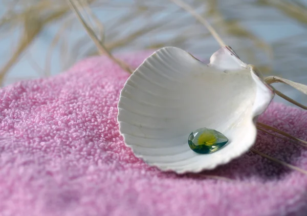 Spa salon towel shell. — Stock Photo, Image