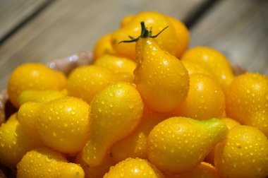 Sarı kiraz domates.