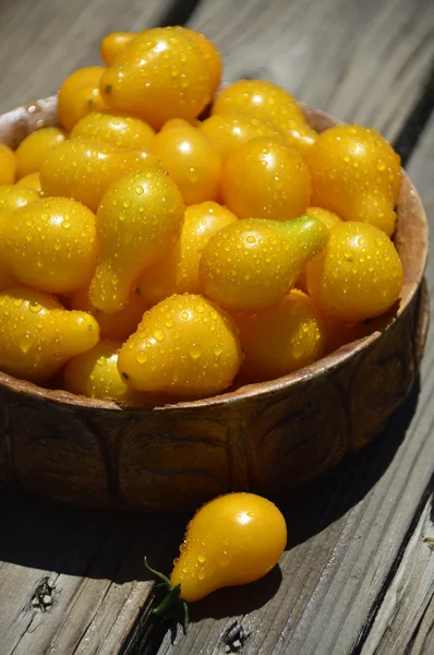Pomodori ciliegia gialli . — Foto Stock