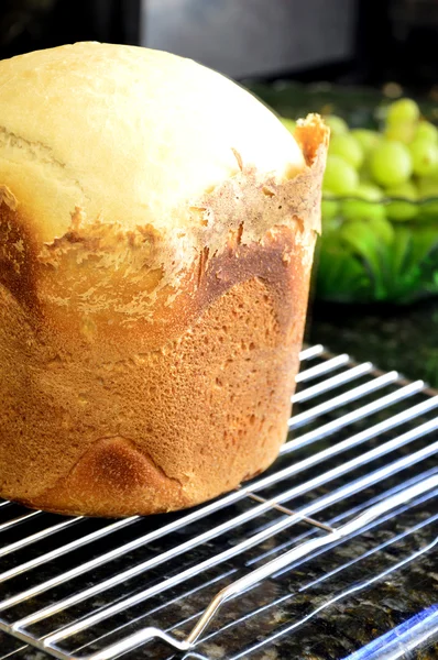 Domowy chleb w wypieku pieczywa. — Zdjęcie stockowe