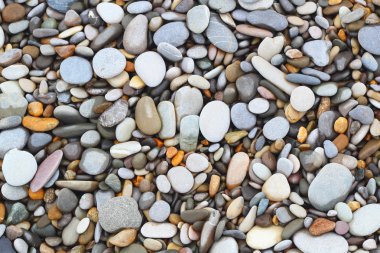 Sea stones shells background