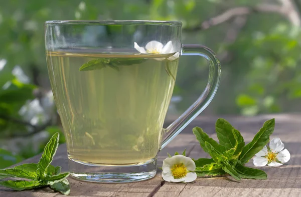 Té con menta Imagen de stock