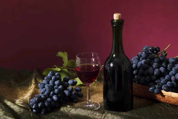 Гроздья темного винограда — стоковое фото