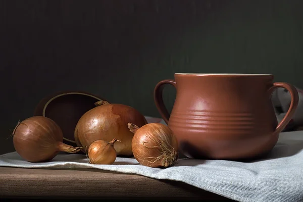 粘土の鍋、タマネギ — ストック写真