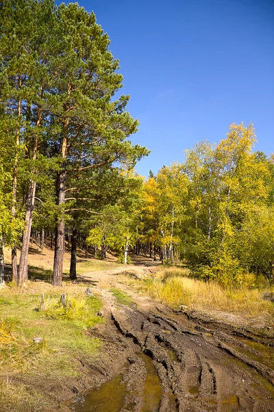 Paisaje otoñal — Foto de Stock