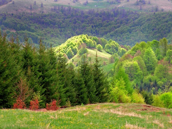 Hermosa escena de montaña verano — Foto de Stock