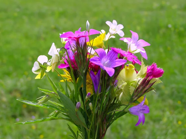 Bright colorful bouquet of wild flowers — Stock Photo, Image