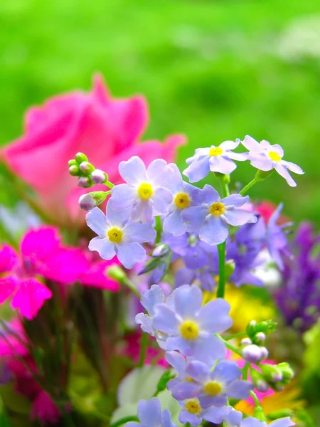 野生の花の明るいカラフルな花束 — ストック写真