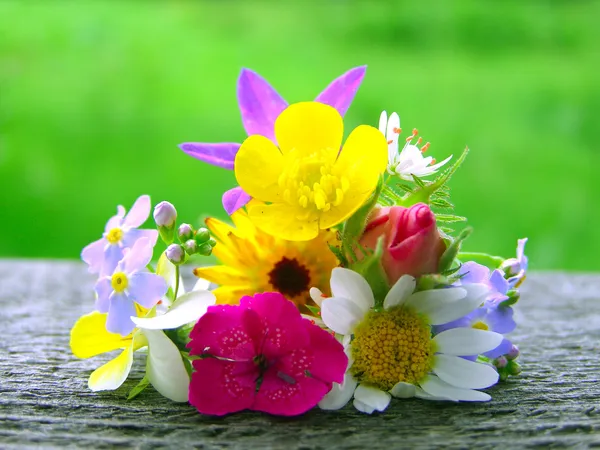Kır çiçekleri parlak renkli buket — Stok fotoğraf