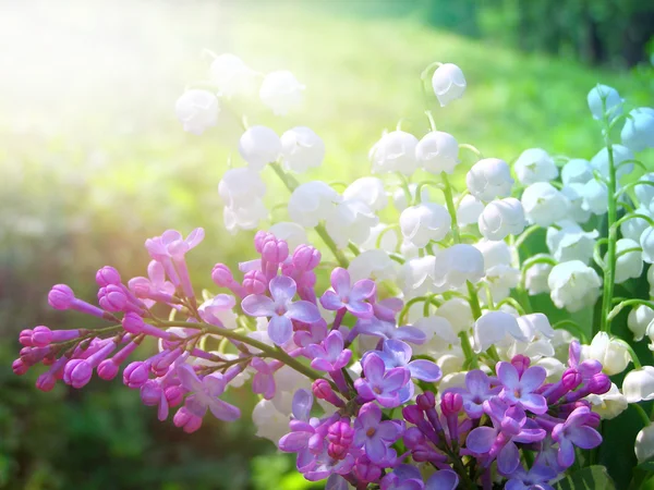 Maiglöckchen und Frühlingsflieder Blumenstrauß lizenzfreie Stockbilder