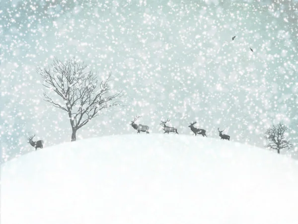 Åldrande vintern fotografi vykort — Stockfoto