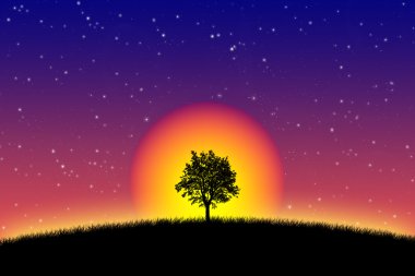 sunrise illüstrasyon, yalnız ağaç