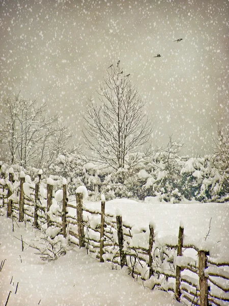 Vieillissement carte postale de photographie d'hiver — Photo