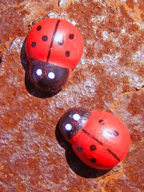 demir yüzeyinde iki ladybugs
