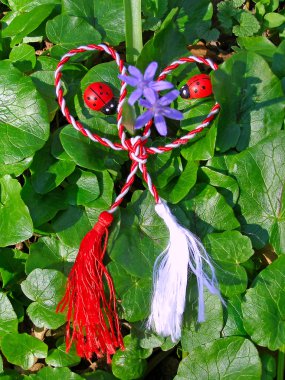 yeşil yaprakların üzerine iki ladybugs