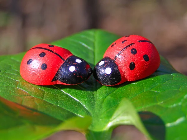 Two ladybug on the green leaf — Stock Photo, Image
