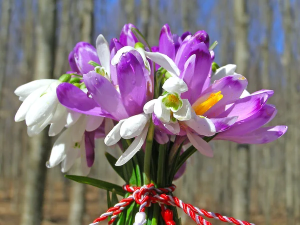 Spring wilde bloemen boeket — Stockfoto