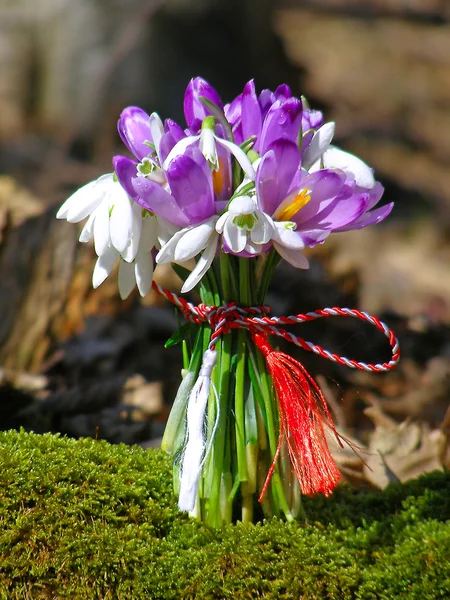 Весняний букет з диких квітів — стокове фото