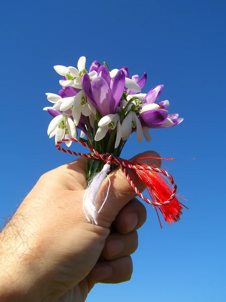 Spring wilde bloemen boeket — Stockfoto