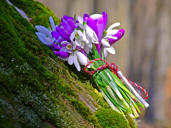 Ramo de flores silvestres de primavera —  Fotos de Stock