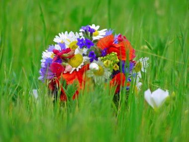 Parlak renkli bahçe buketi ve vahşi doğal çiçekler.