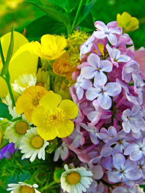 Parlak renkli bahçe buketi ve vahşi doğal çiçekler.