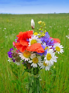 Parlak renkli bahçe buketi ve vahşi doğal çiçekler.