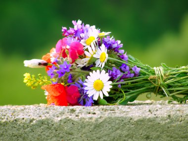 Parlak renkli bahçe buketi ve vahşi doğal çiçekler.