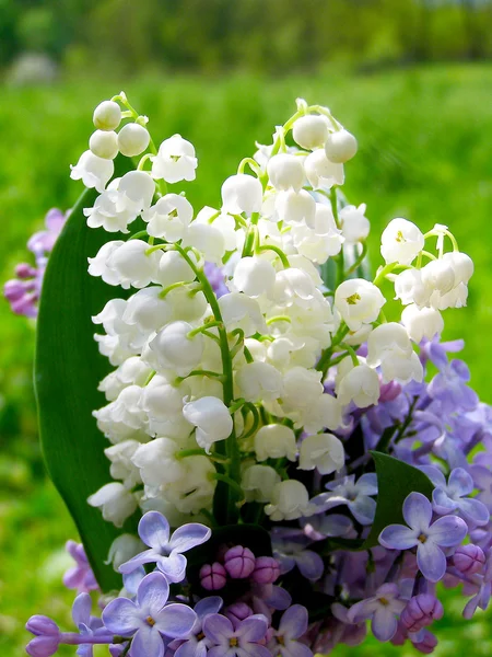 Lys de la vallée et bouquet de lilas — Photo